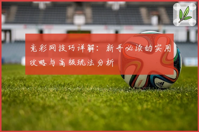 竞彩网技巧详解:新手必读的实用攻略与高级玩法分析