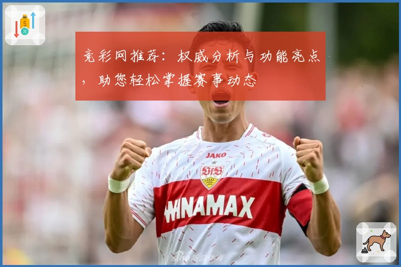 竞彩网推荐：权威分析与功能亮点，助您轻松掌握赛事动态