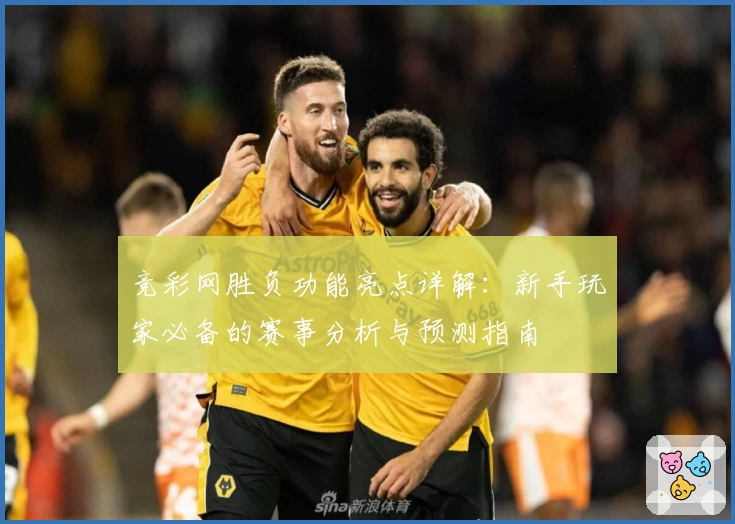 竞彩网胜负功能亮点详解：新手玩家必备的赛事分析与预测指南
